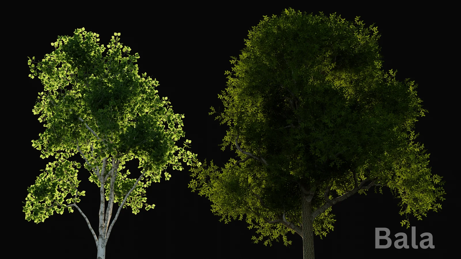Grovescape screenshot 8