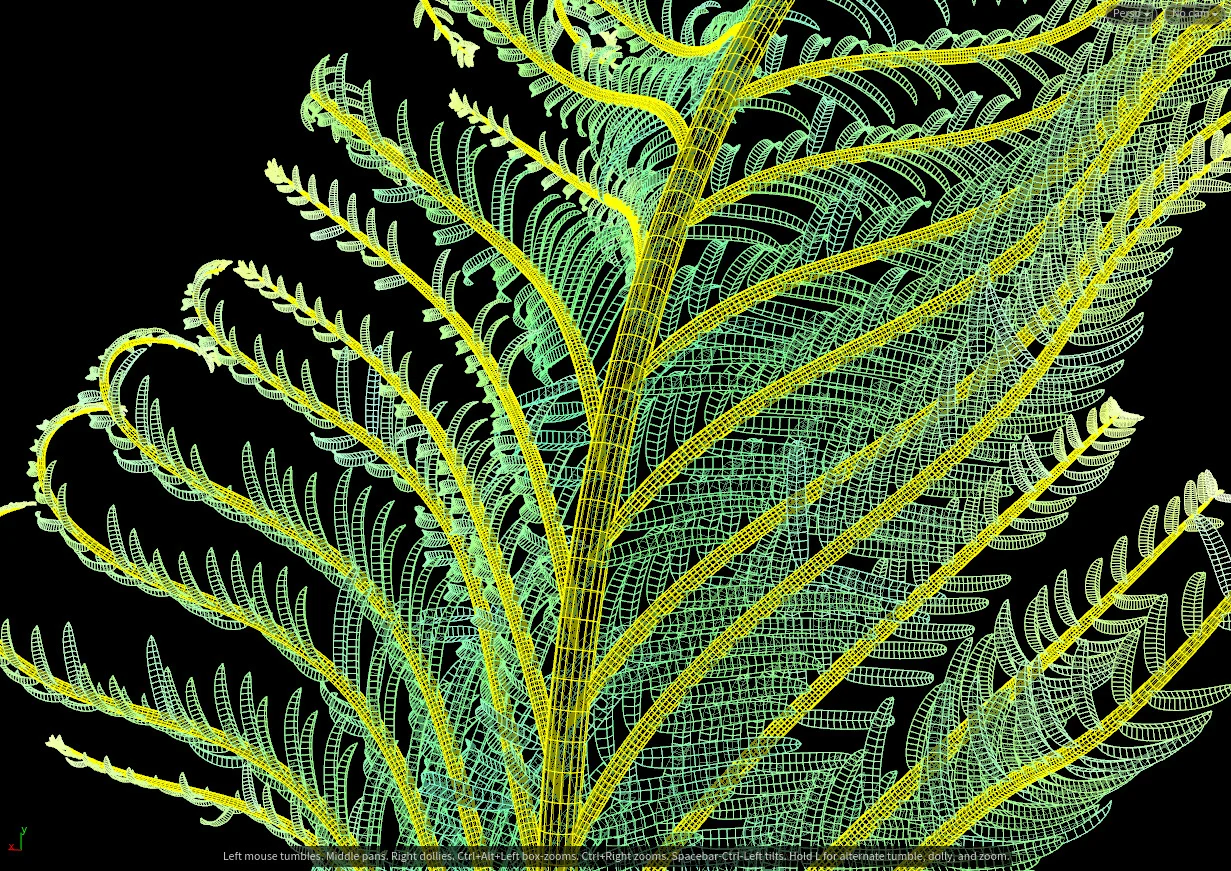 Growing Ferns screenshot 3