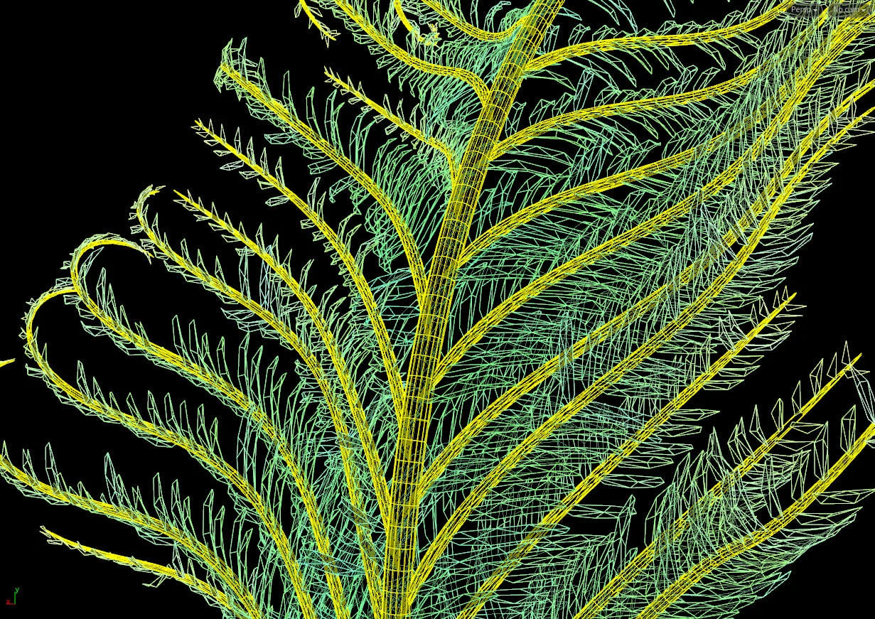 Growing Ferns screenshot 4