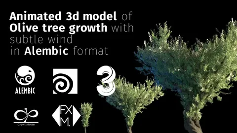 Growing Olive Tree - Blender 3d models
