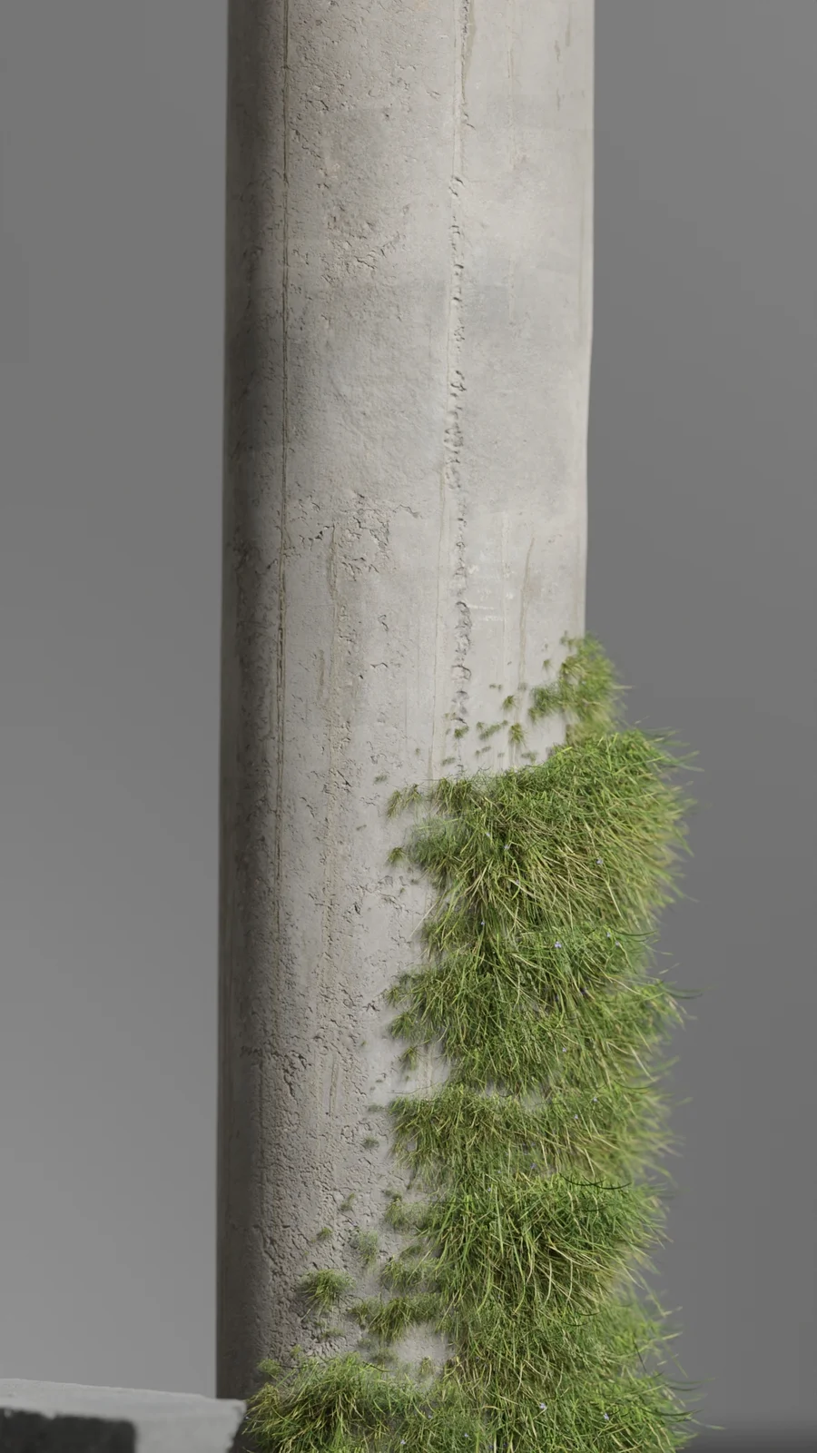 Growing Plants Effects screenshot 3