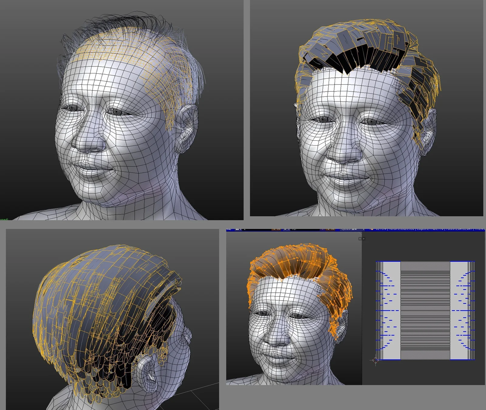 HairMesher screenshot 5