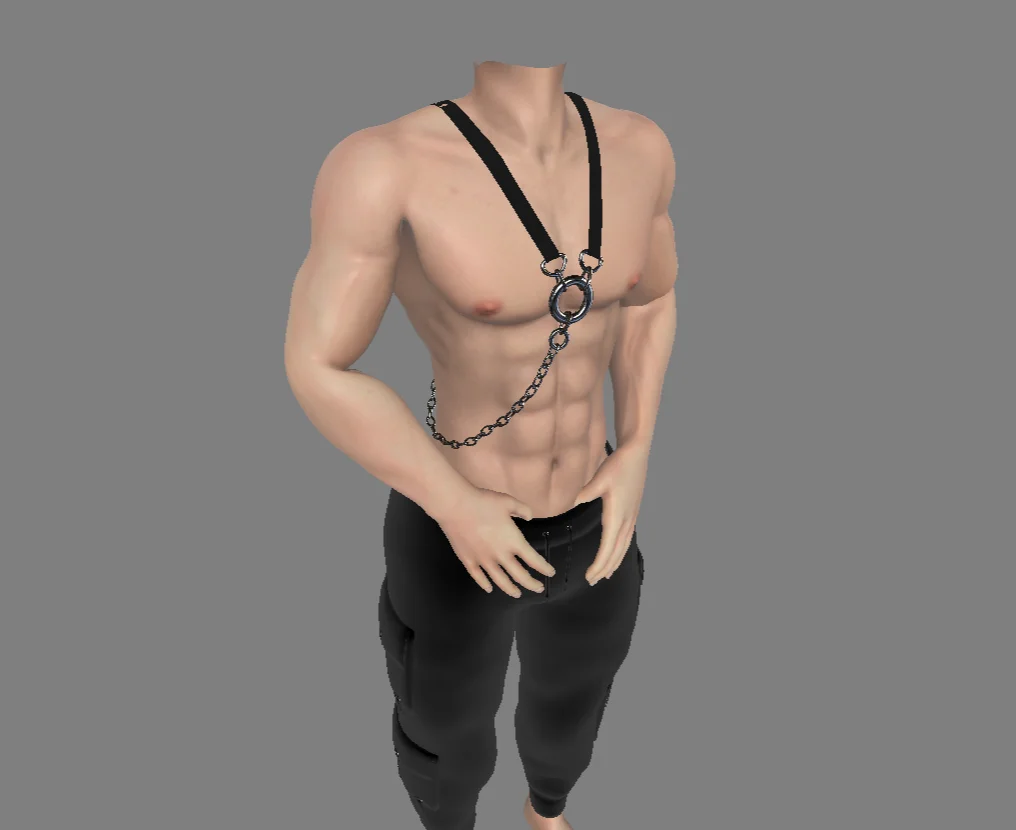 Harness screenshot 2