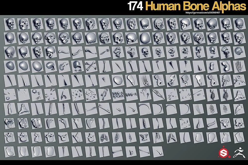 Human Bones Alphas screenshot 2