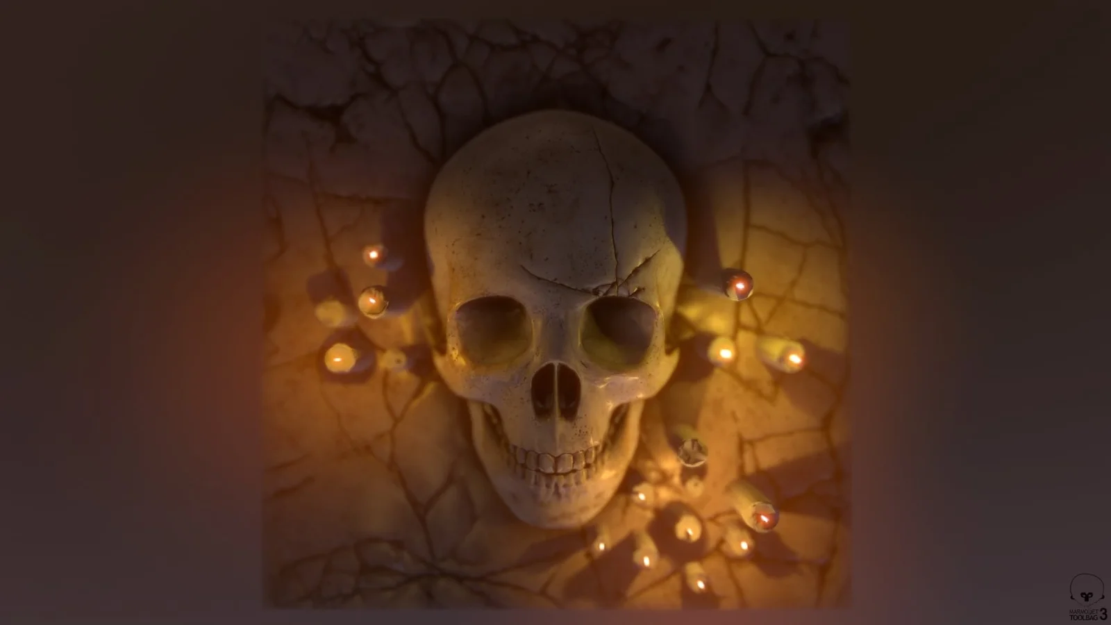 Human Bones Alphas screenshot 4