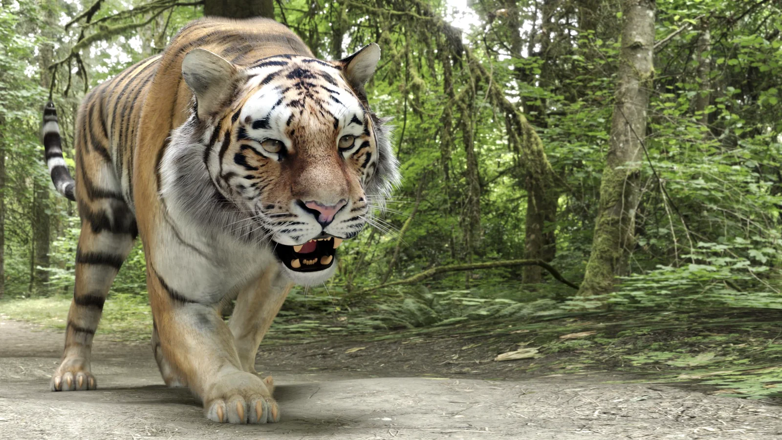 HDRi Maker Studio screenshot 3