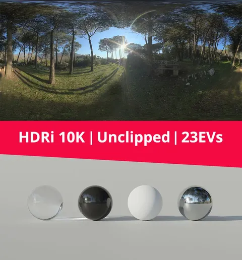 Woods HDRI - Blender lighting & hdris