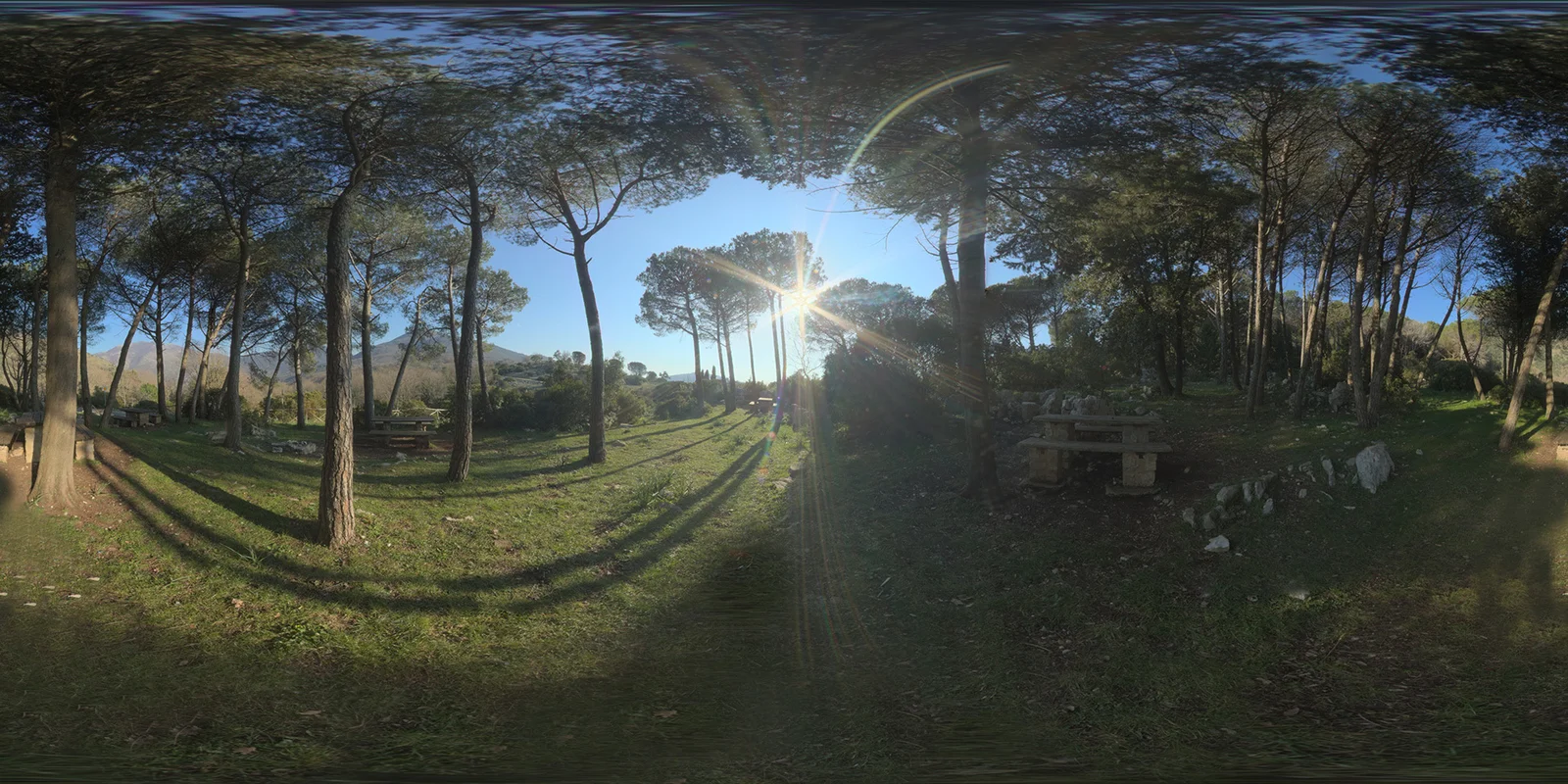 Woods HDRI screenshot 3