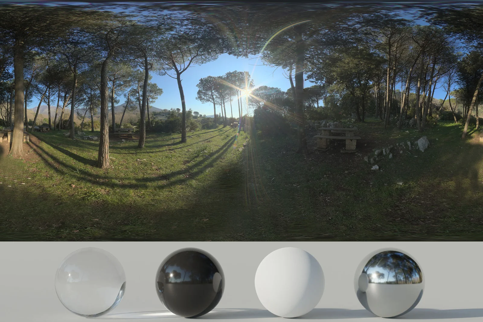 Woods HDRI screenshot 5