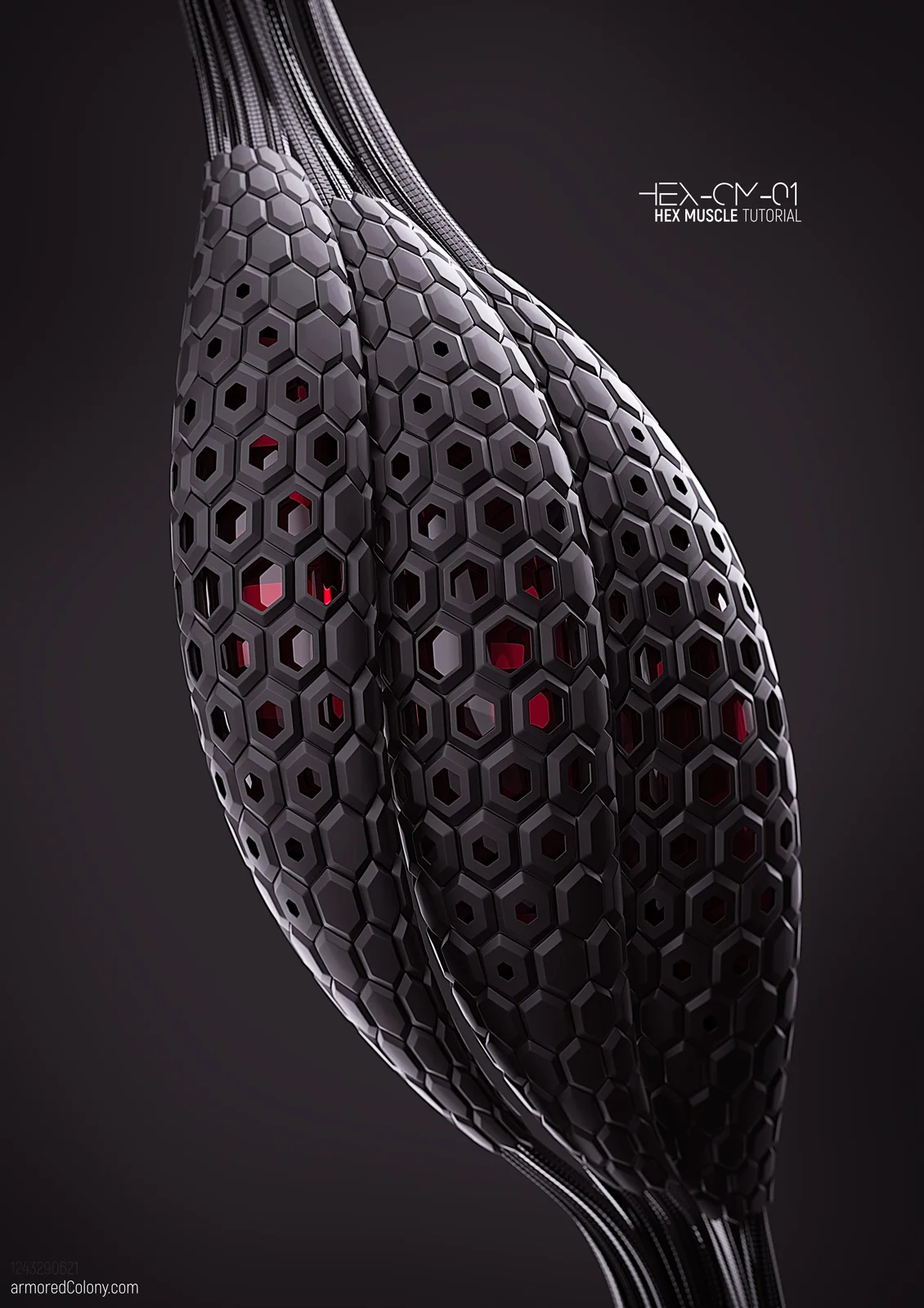 Hex Muscles Tutorial screenshot 2