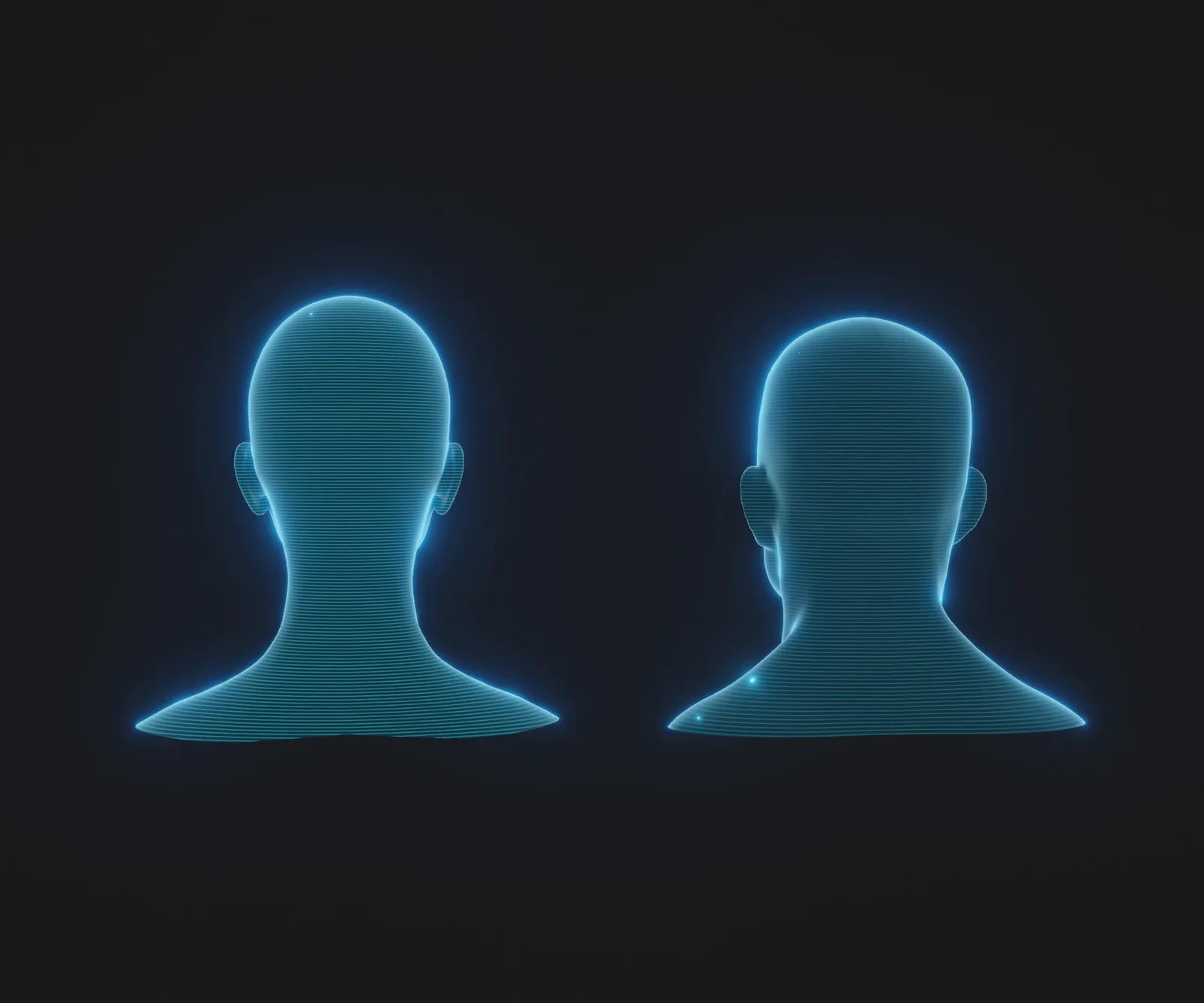 Hologram Male and Female Heads screenshot 4