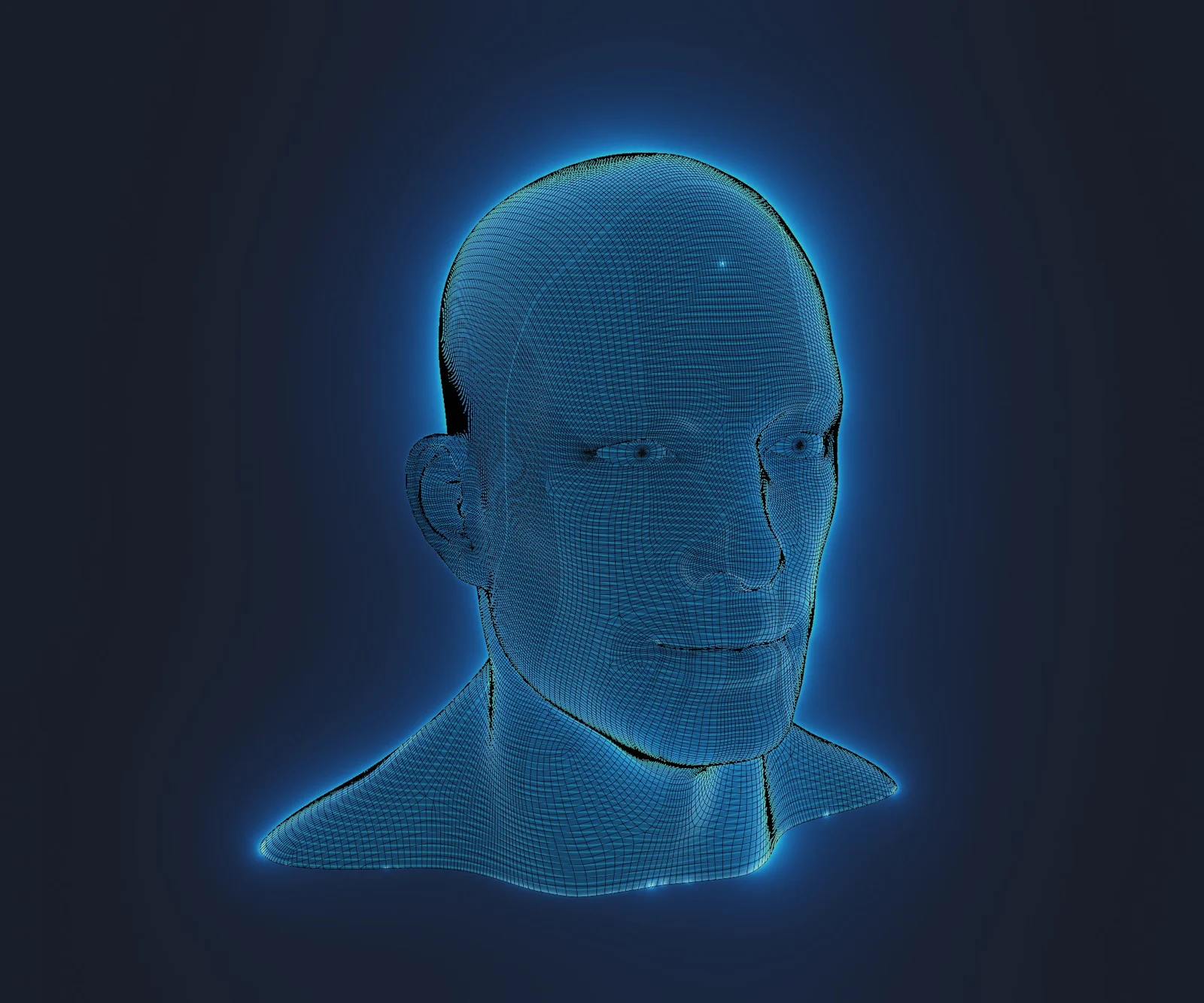 Hologram Male and Female Heads screenshot 7