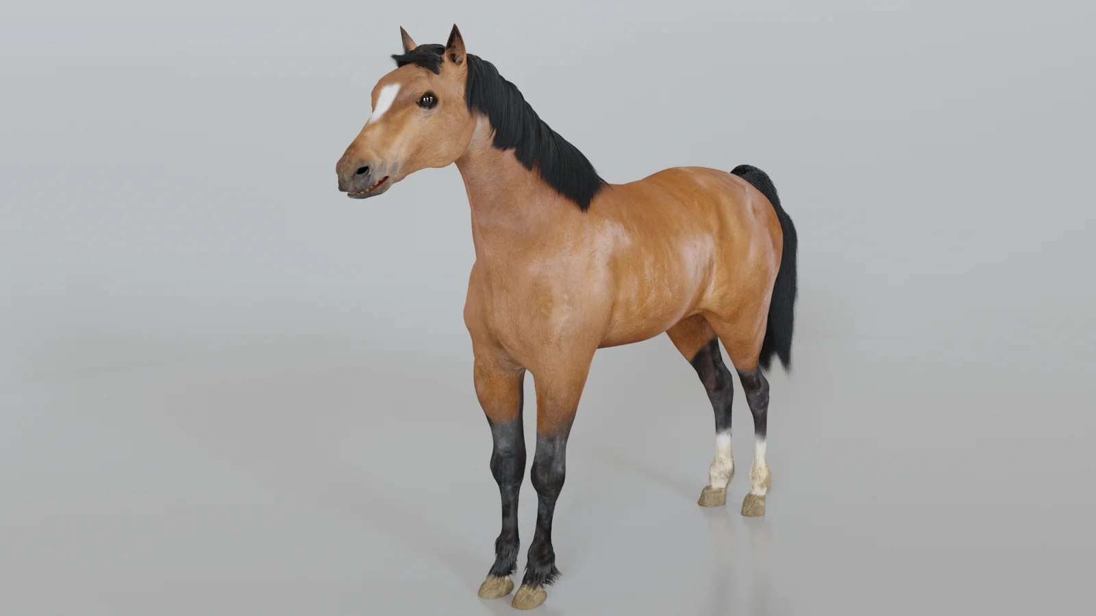 Horse Model screenshot 2