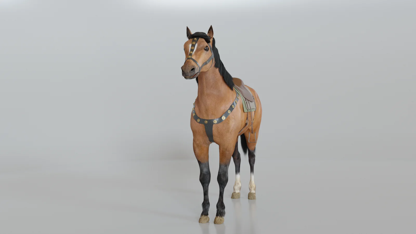 Horse Model screenshot 3