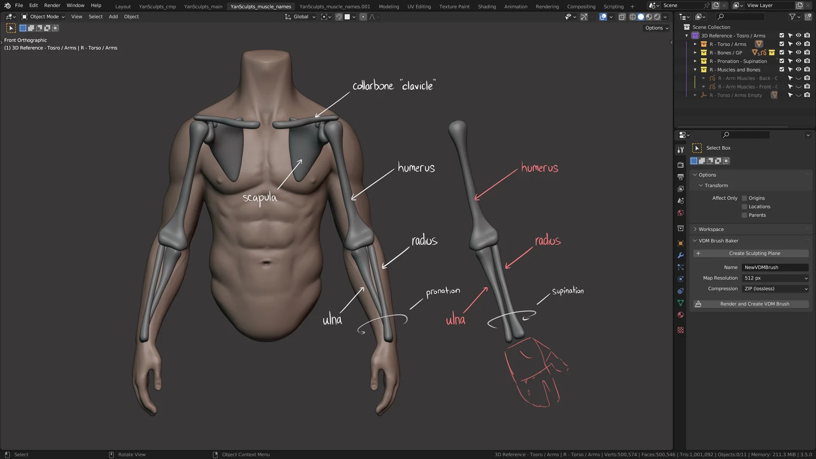 How to Sculpt Arms screenshot 2