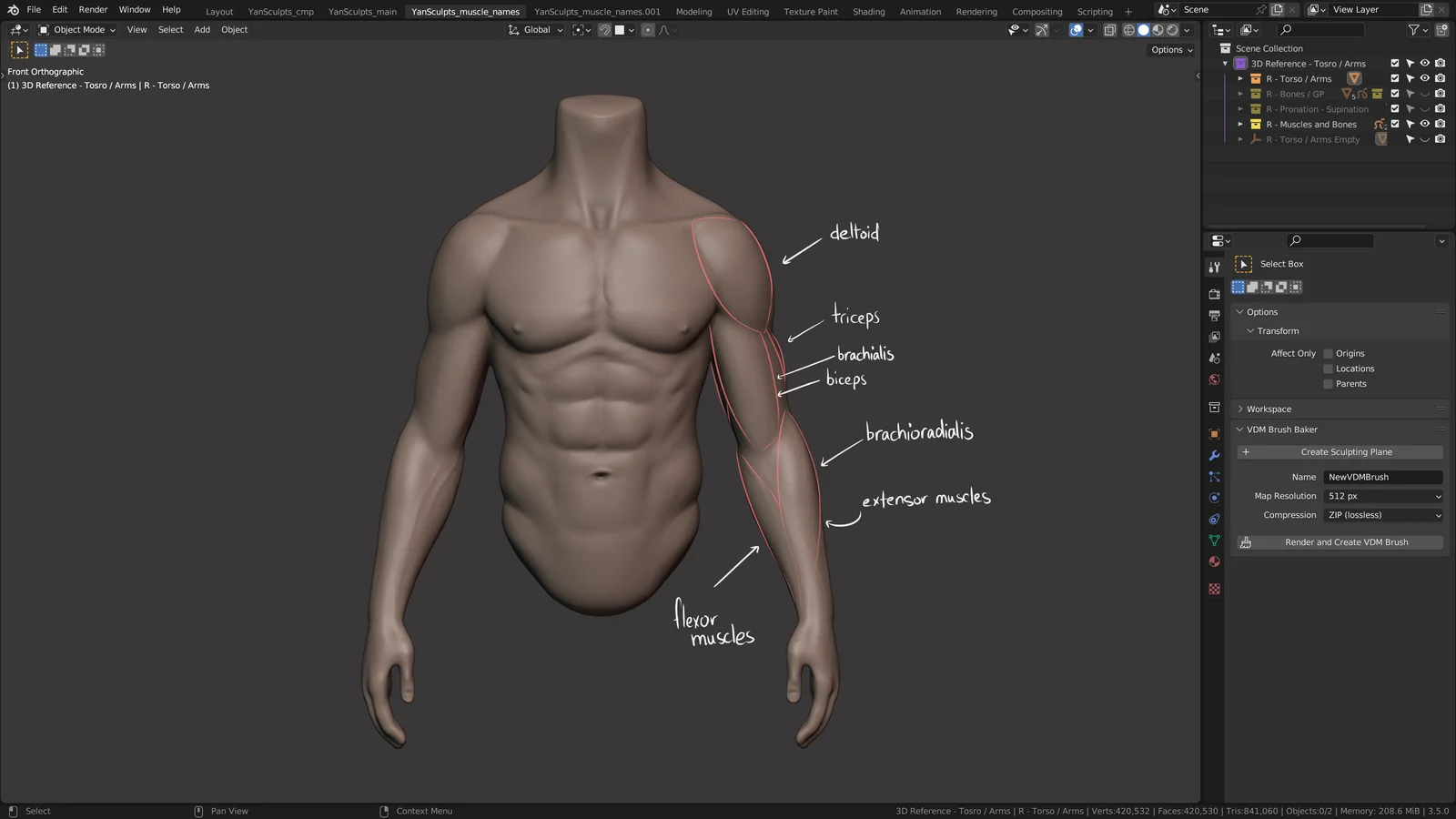 How to Sculpt Arms screenshot 3