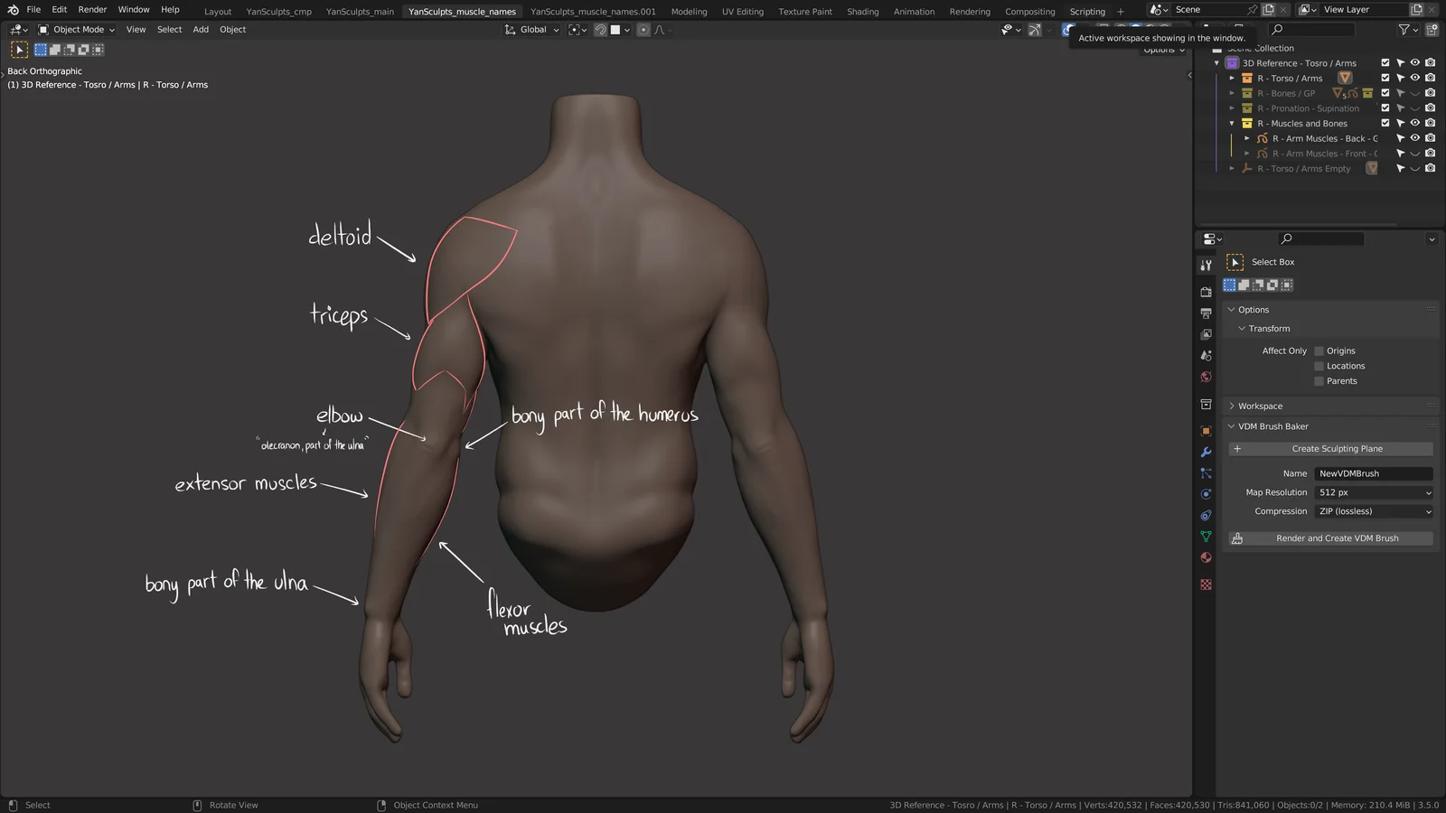 How to Sculpt Arms screenshot 4