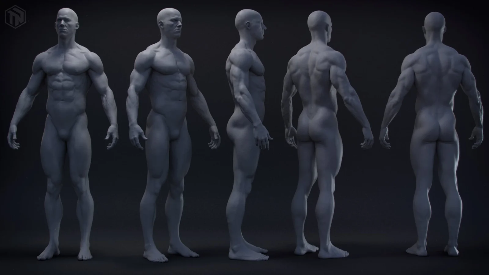 Human Anatomy Study screenshot 2