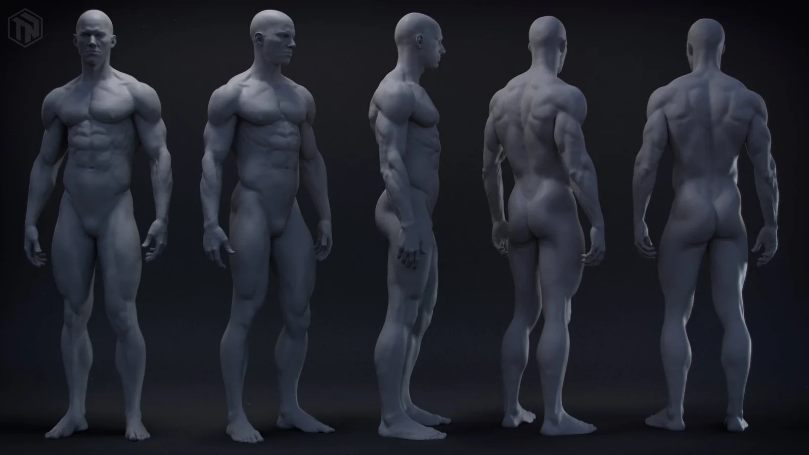 Human Anatomy Study screenshot 3
