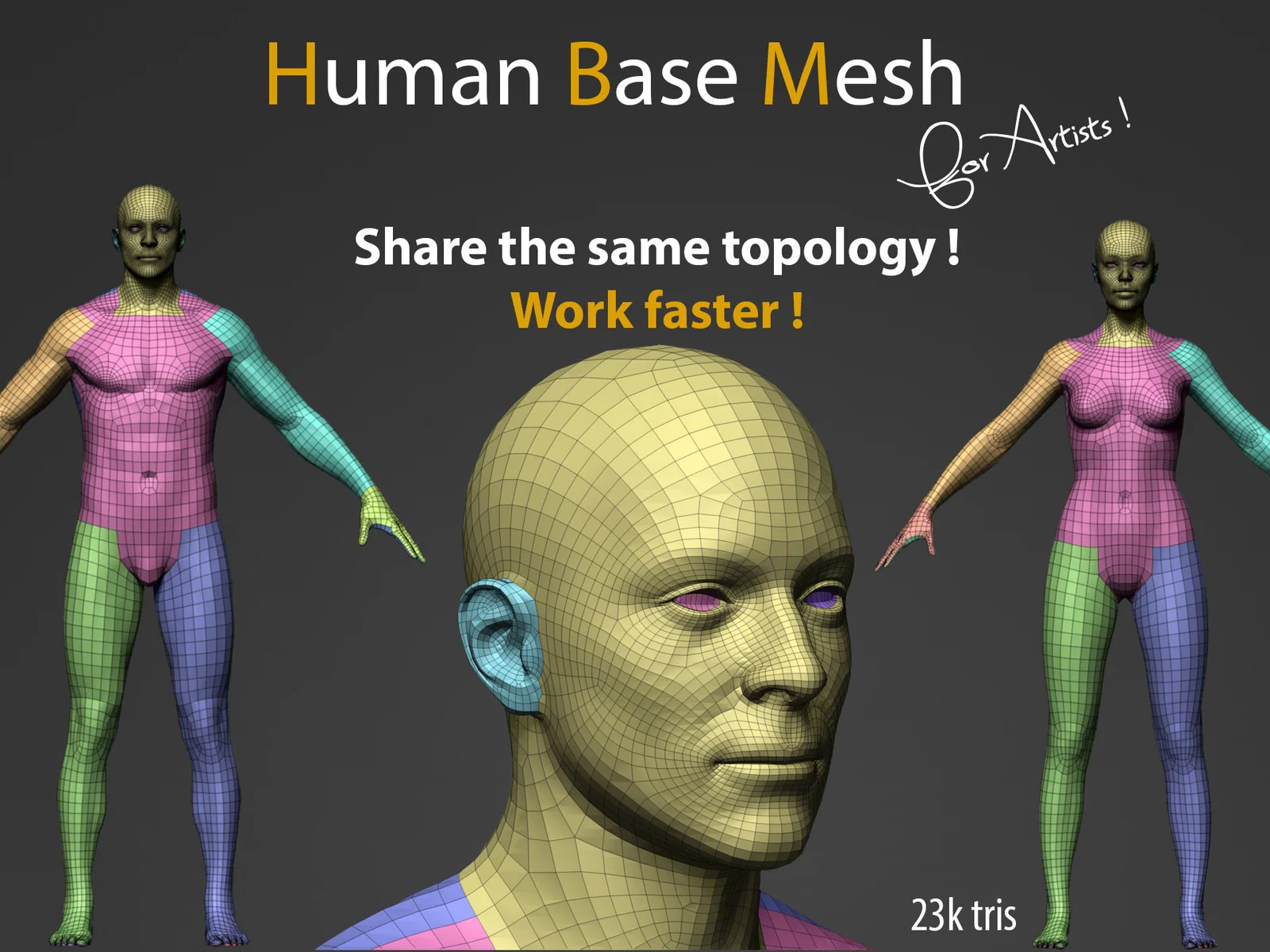 Human Base Mesh screenshot 2