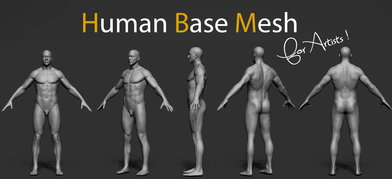Human Base Mesh screenshot 6