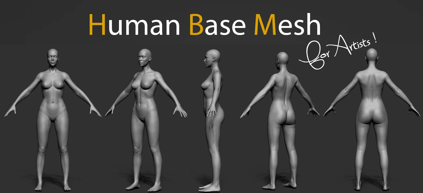 Human Base Mesh screenshot 7
