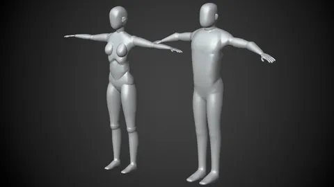 Human Base Meshes - Blender 3d models