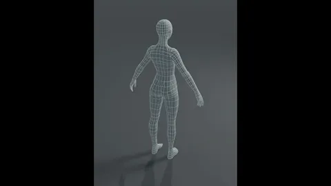 Human Body Base Mesh Pack - Blender 3d models