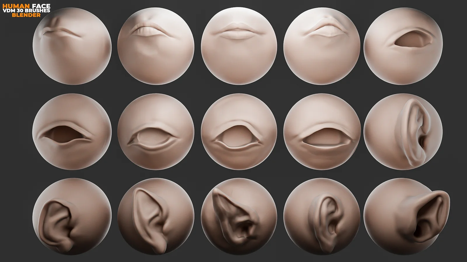 Human Face VDM Brushes screenshot 3