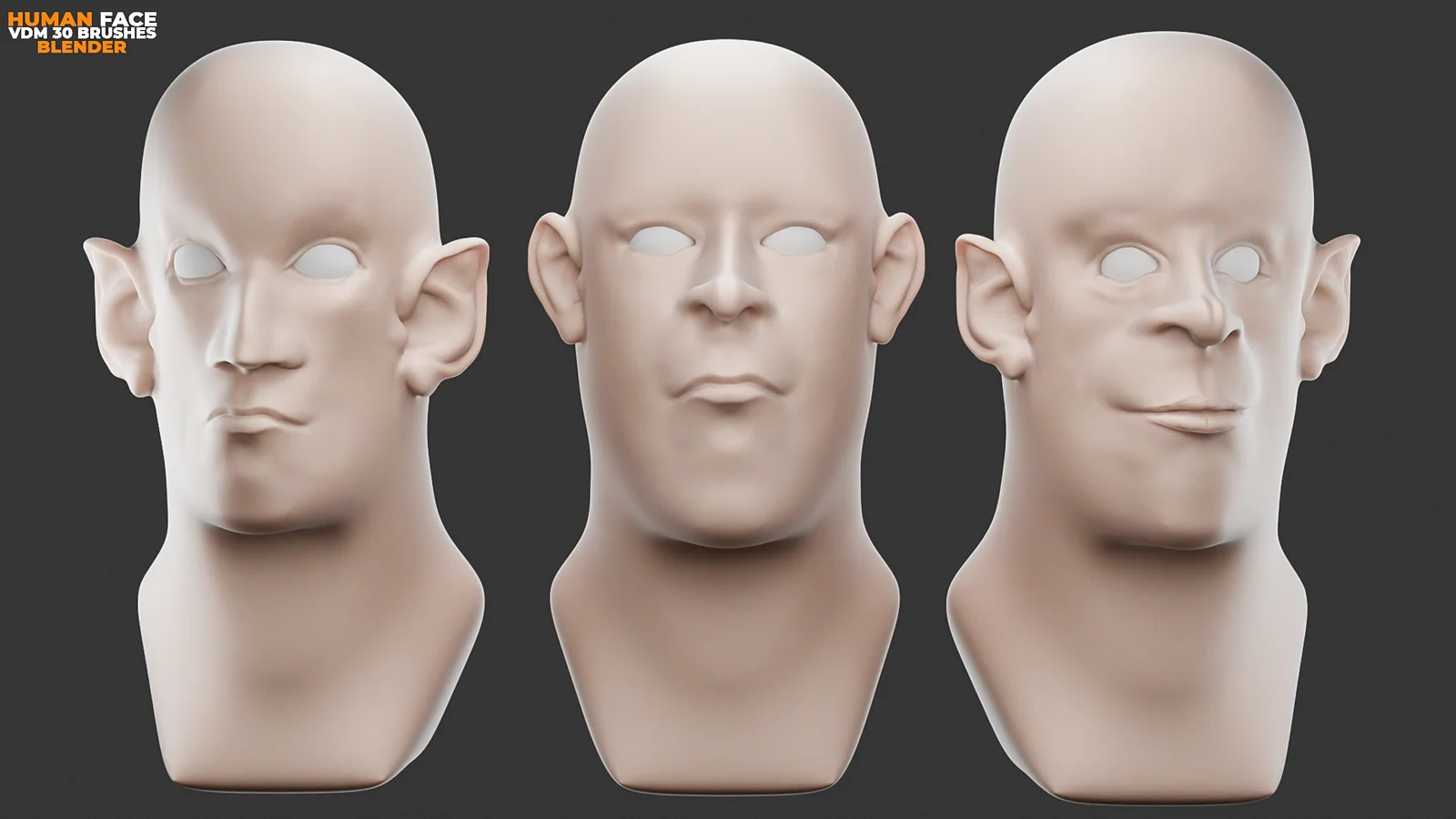 Human Face VDM Brushes screenshot 4