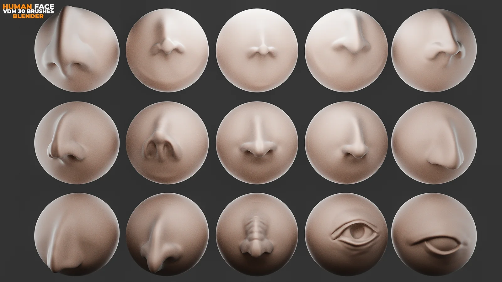 Human Face VDM Brushes screenshot 5