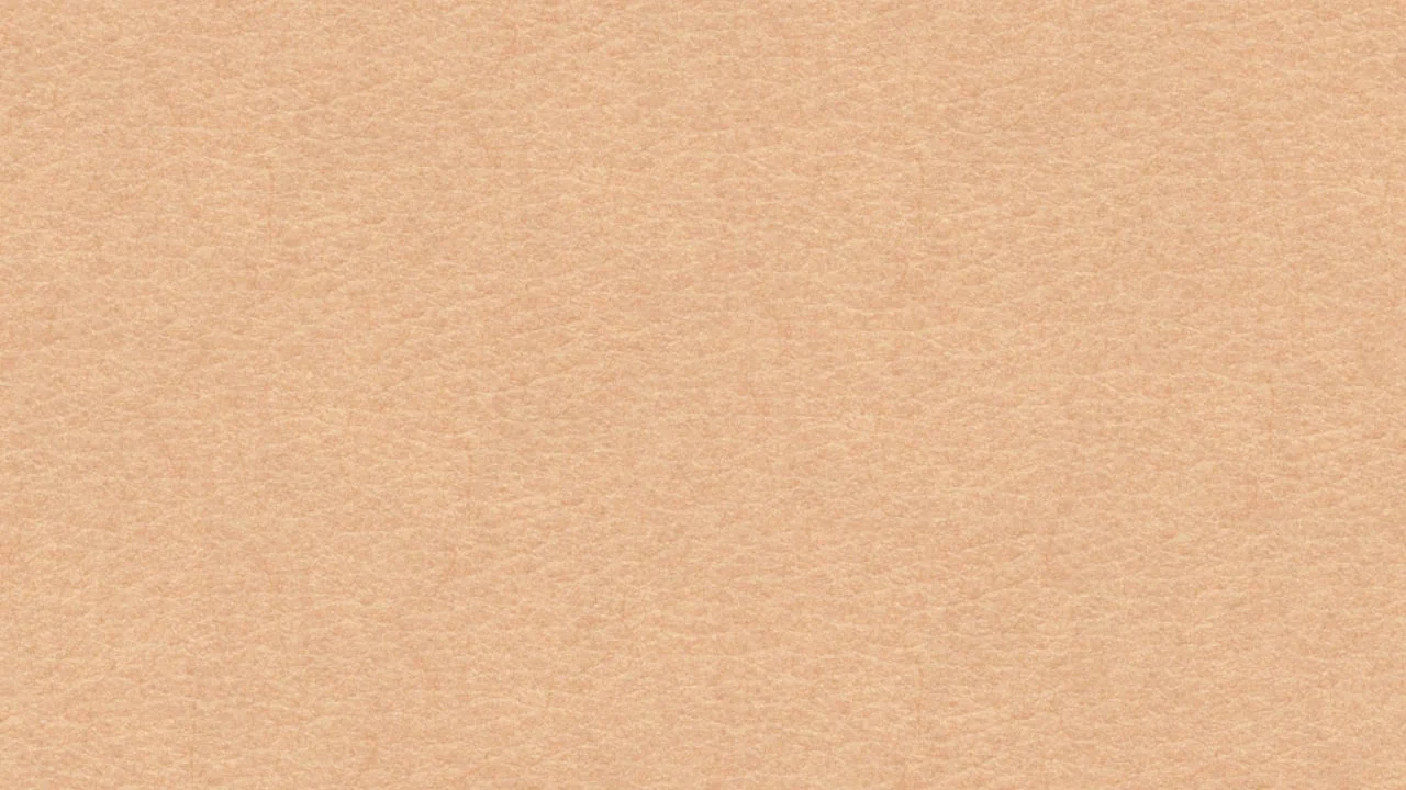 Human Skin Textures screenshot 4