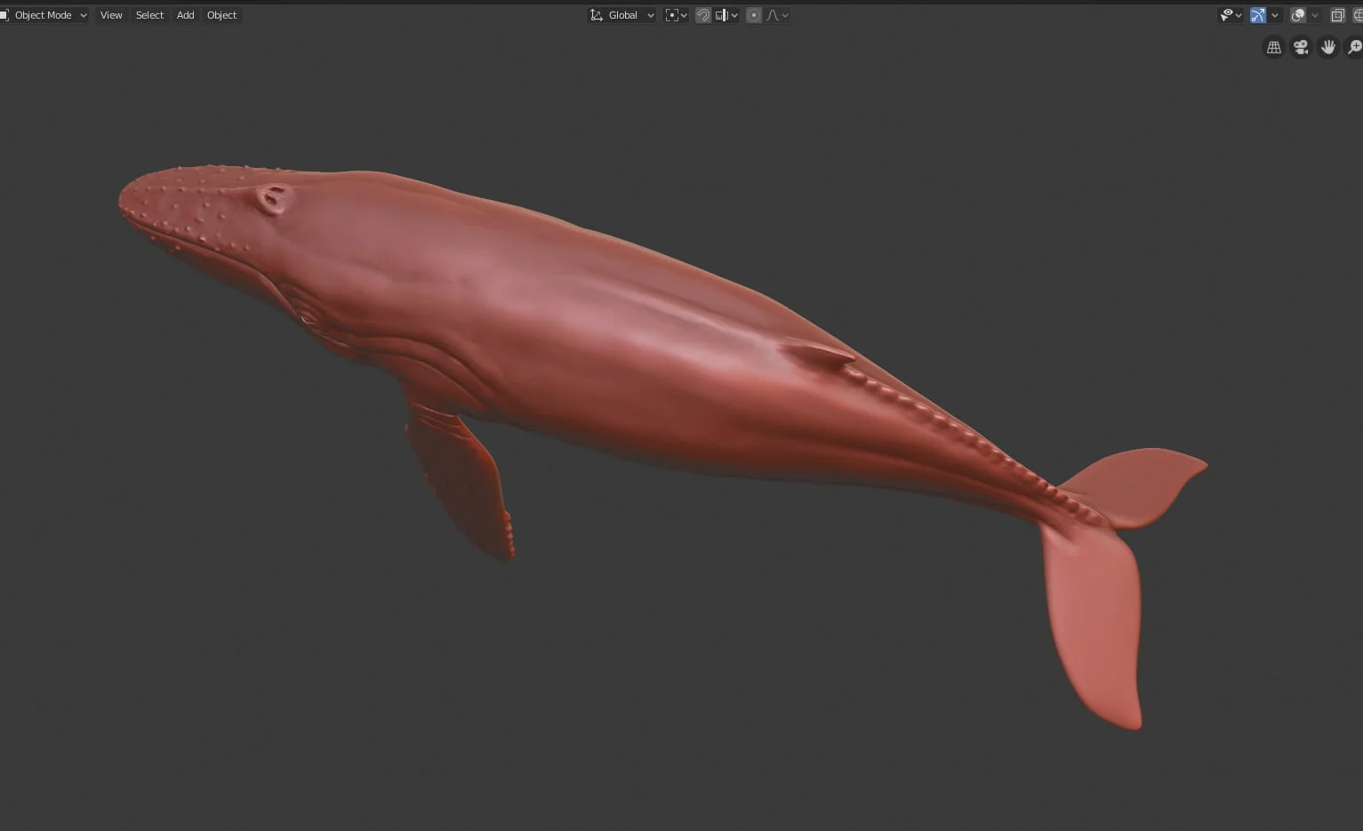 Humpback Whale screenshot 5