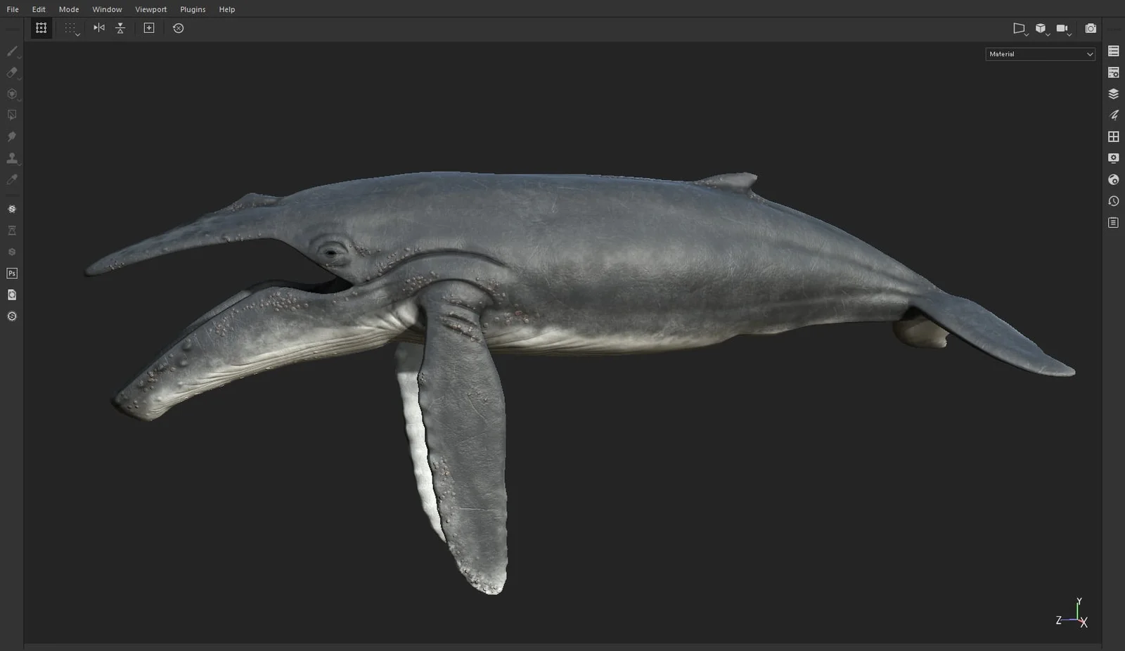 Humpback Whale screenshot 6