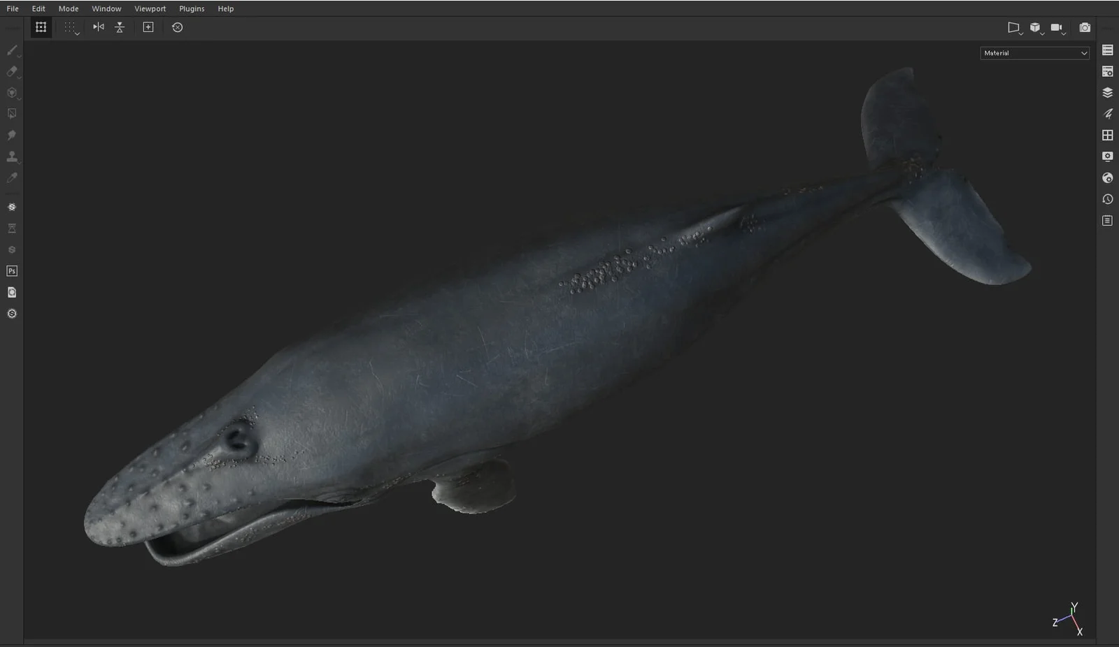 Humpback Whale screenshot 7