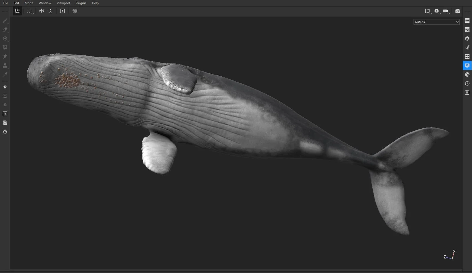 Humpback Whale screenshot 8
