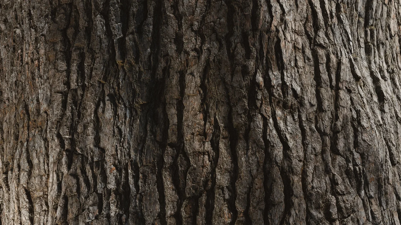 HyperTrees Bark Pinewood Studio screenshot 7