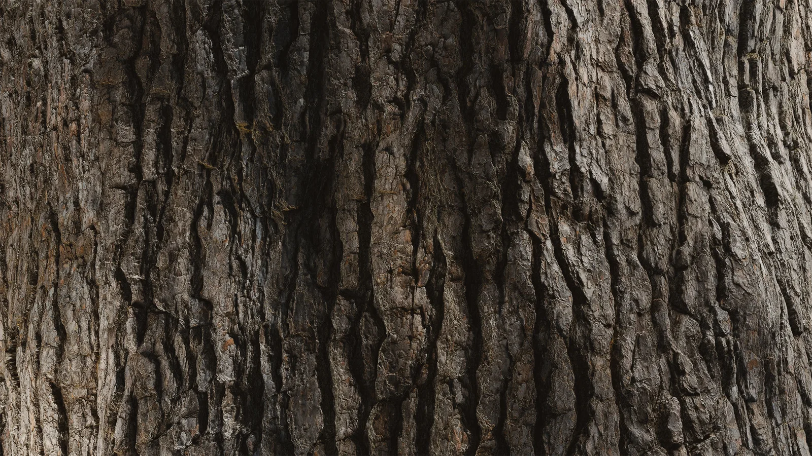 HyperTrees Bark Pinewood screenshot 6
