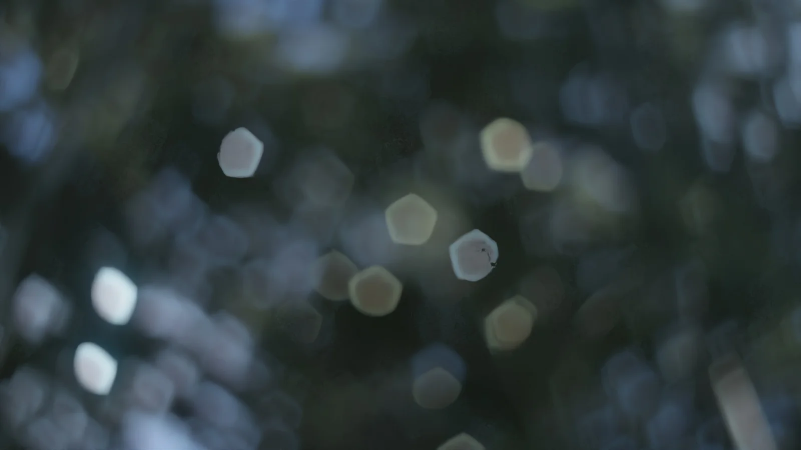 Imperfect Aperture Maps screenshot 2