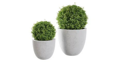 Indoor Plants - Blender 3d models