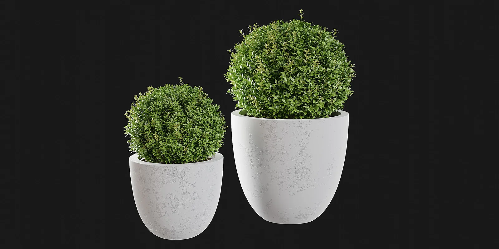 Indoor Plants screenshot 4