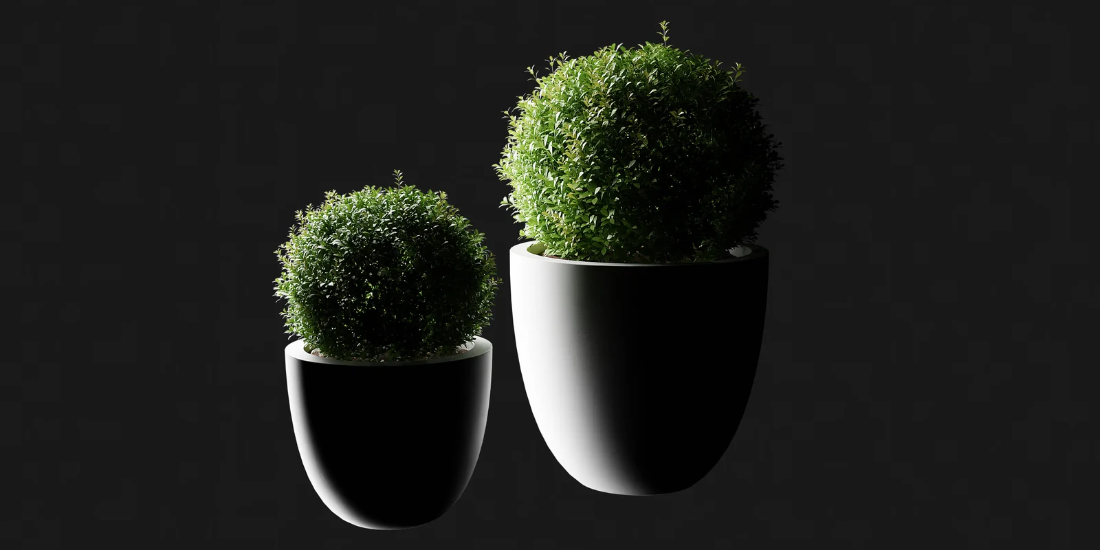 Indoor Plants screenshot 5