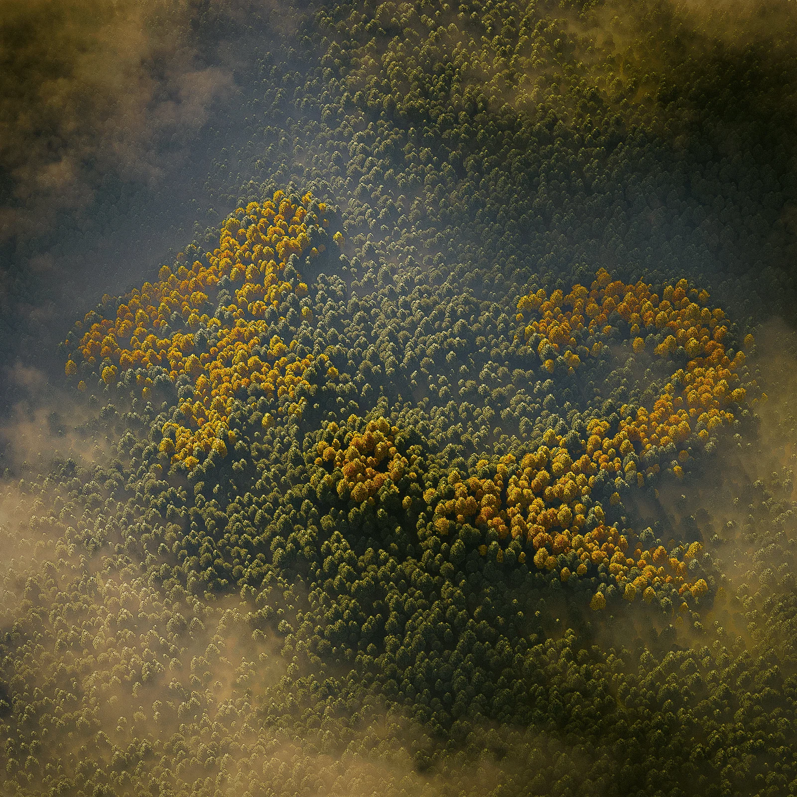 Instant Impostors screenshot 4