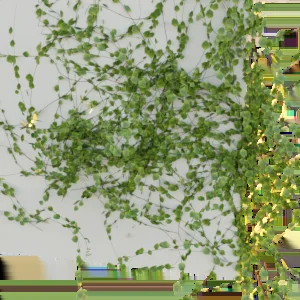 Ivy Generator Pro screenshot 2