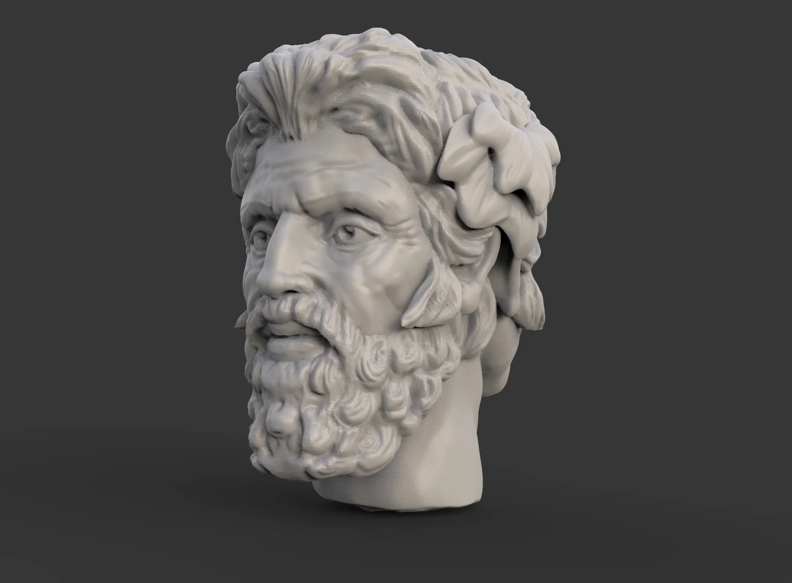 Janus Head Model screenshot 3