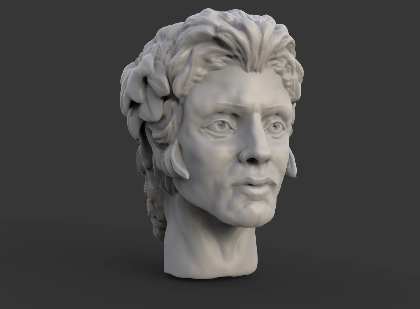 Janus Head Model screenshot 4