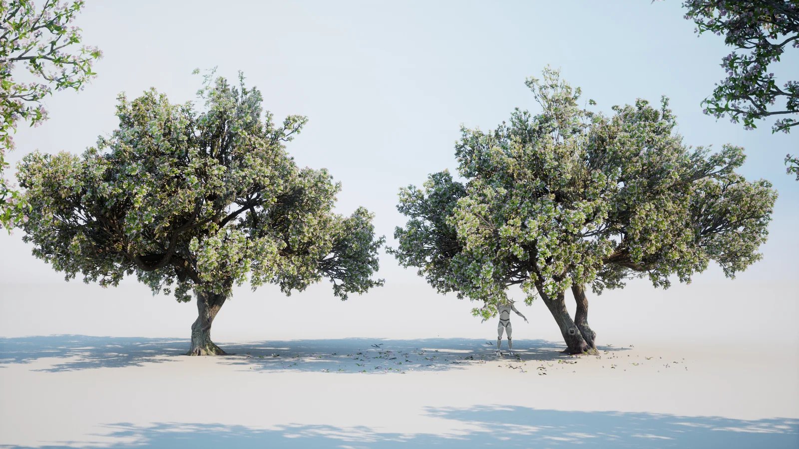 Japanese Crab Apple Tree screenshot 2