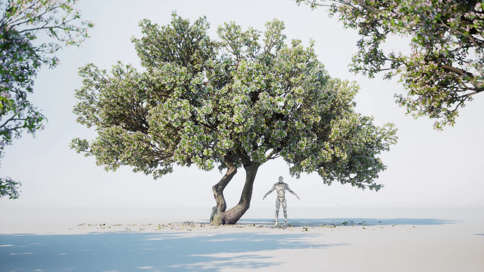 Japanese Crab Apple Tree screenshot 5