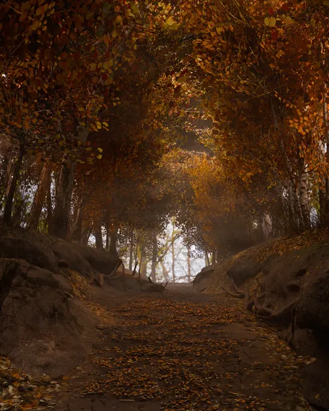 Autumn Forest - Blender scenes