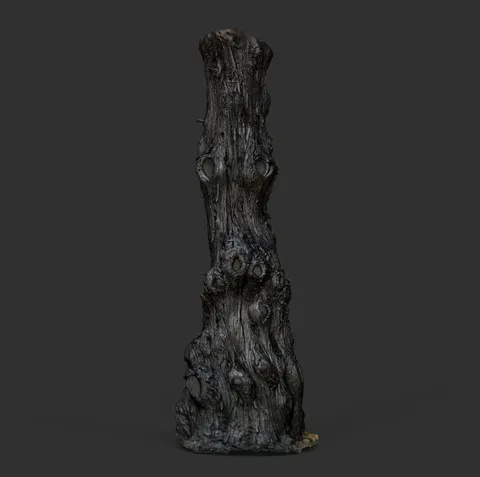 Kiri Tree Demo Scan - Blender 3d models